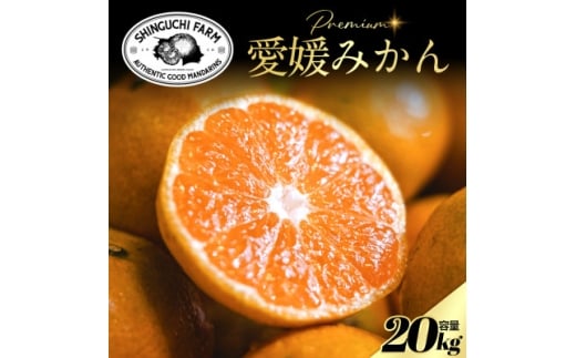 老舗農家が見極めたプレミアム<小玉>愛媛みかん20kg<愛媛県川上産><H70-105>【1677122】愛媛県八幡浜市42000果物・フルーツみかん・柑橘類