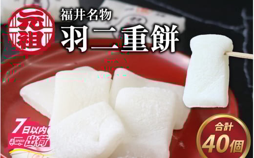 䖼Ic Hd40 [A-017001]䌧s8400َqEXC[c̑ aَq