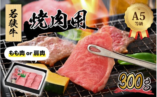 ዷ (A5N) ē 300gy BBQ o[xL[ AEghA A5N ē  јa   Ⓚ 1pbN z[A-022005]䌧s17500