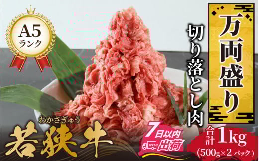 ዷA5N؂藎Ƃy a5  ~ ؂藎Ƃ јa _炩 TV  V ԂԐX  ①z Y  a  uh ①z[C-037005]䌧
