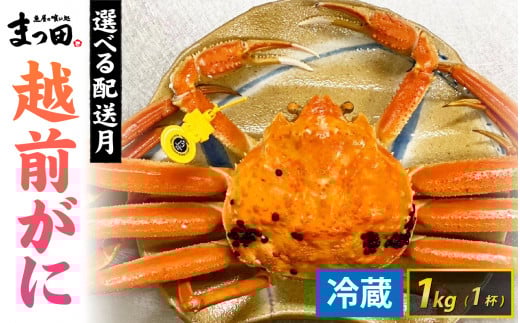 ys\z܂c̉zO 1kg×1ty11`3zz[K-007008] / 䌧  IX Y YCKj {C ① zOKj zO zOJj 킢 킢I  Jj I w 䥂 