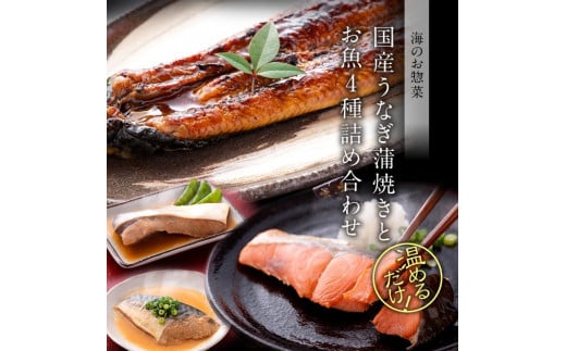 ϋ ċ 416+Ȃ1 Zbg [B-088010]䌧s33800ECYN