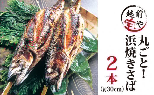 y䖼zۂƕlĂTo h 2{ [A-088016]䌧s11300ECY̑ ECY