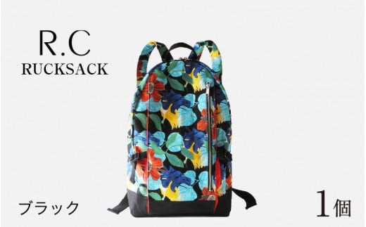 R.C - RUCKSACK ubN [F-042018_01]䌧s76400ߗށEiEH|iEobO