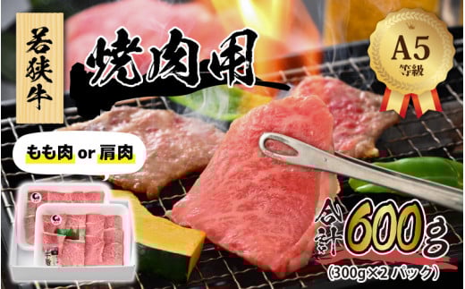 ዷ (A5N) ē v600gi300g×2pbNjy BBQ o[xL[ AEghA A5N ē  јa   Ⓚ 2pbN z[B-022010]䌧s35000