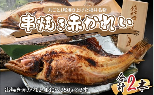 ۂ1Ăグ䖼 ĂԂꂢ 2{y `H Ăꂢ ԃKC ꂢۂ L 䖼 Ⓚz y [Jt[h z [A-065028]䌧s10000ECY