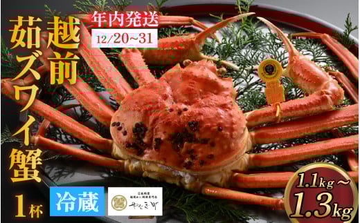 ys\z[JϑI][w]IDɂ߁IV܃JjX́uzO킢ɁvTCY(1.1kg`1.3kg) N [P-085029] / Jj  Ƀ{C ɂ݂ zOKj