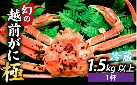 [s\]Ղ̃YCII䥂ŉzOɁyɁzPty11{菇ANNnΉsz@[W-065043] ys꒼z /  I 킢 YC 䥂ł ɕ䌧s1500000ECY