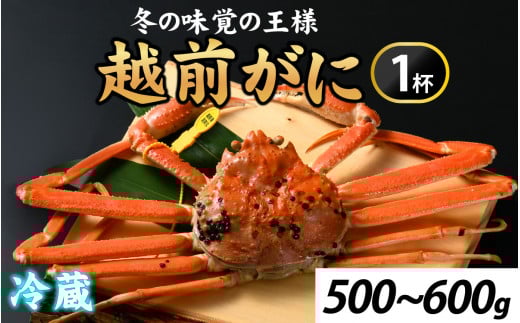 s\~̉ҁI䥂ŉzO500-600g@Pty11{菇ANNnΉsz[G-065037] ys꒼z /  I 킢 YC 䥂ł 䌧s88000ECYJj