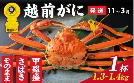 ys\zIׂIyOIzzOɁi1.3kg`1.4kgj×1ty11`3z b [P-028051_07] / 䌧  IX Y YCKj {C ① zOKj zO zOJj