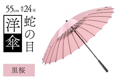 ւ̖ڗmP@JP(e55p)@J[10F [K-035003_03]䌧s150000ߗށEiEH|ȋ iEH|i