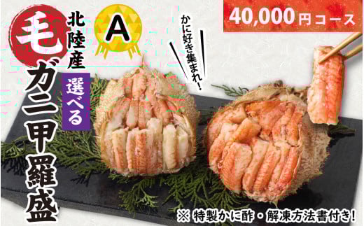 y󂠂zIDW܂IIׂkY уKj bAZbgy40,000~R[Xz [D-096008_01] / Jj I  PKj ъI т   䥂 䥂ł {C b b ɐ| y 