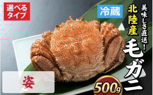 yOIzIkY уKj 500O×1tiIXAX@@Ij [B-028006_01]䌧s34000ECYJj