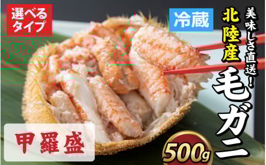 yOIzIkY уKj 500O×1tiIXAX@@Ij [B-028006_02]䌧s34000ECYJj