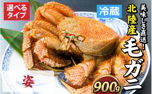 yOIzIkY уKj 900O×1tiIXj [F-028009_01]䌧s71000ECYJj