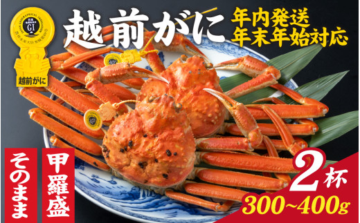 【先行予約】選べる!美味しさ直送【成前特選】越前かに(300〜400g)×2杯【年内発送・年末年始対応】姿【E-028032_06】/ 正月 福井県 福井 オス 雄 ズワイガニ ボイル 冷蔵 越前ガニ 越前がに