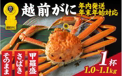 【先行予約】選べる!美味しさ直送【成前特選】越前かに(1.0〜1.1kg)1杯【年内発送・年末年始対応】甲羅盛【L-028017_07】/ 正月【年内発送 年内お届け】福井県 福井 オス 雄 ズワイガニ ボ