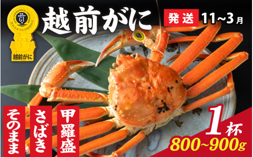 ys\zIׂIyOIz zOɁi800g`900gj×1ty11`3z b [K-028048_07] / 䌧  IX Y YCKj {C ① zOKj zO zOJj