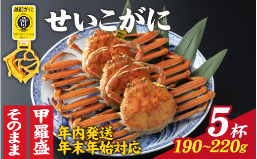 【先行予約】選べる!美味しさ直送【成前特選】せいこがに(190g〜220g)×5杯【年内発送・年末年始対応】甲羅盛【J-028011_07】 /  正月 ズワイガニ 甲羅盛り 越前がに かに 蟹 楚蟹 セイコ蟹