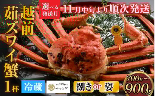 ys\z[JϑI][w]IDɂ߁IV܃JjX́uzO킢Ɂv(700g`900g)y11{菇z [I-085016] / Jj  Ƀ{C ɂ݂ zOK