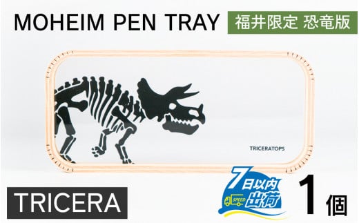 MOHEIM PEN TRAY (TRICERA)yygC AN  y  fUC  CeA [ G݁z[A-053011_02]䌧s11000G݁Epi[