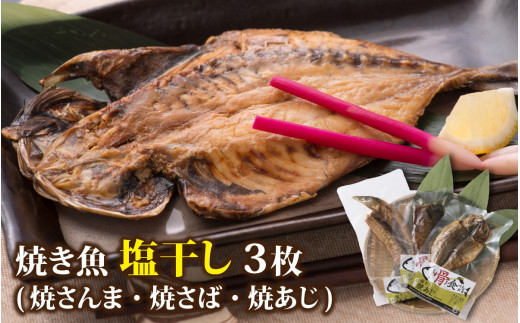 【塩干し】丸ごと骨まで食べられる焼き魚 計3枚(3枚セット×1種)【A-088001_01】福井県福井市10000魚介・海産物干物