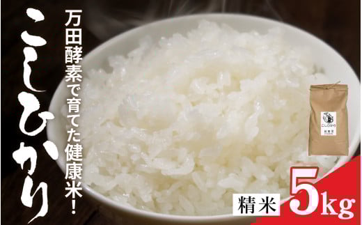 令和6年　新米　約30キロ　なつほのか　送料込み お米30キロ 新米30キロ 鹿児島県産 なつほのか 米・雑穀・粉類