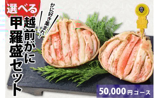 a@zOɍbi145gO × QjvQ [E-096006_02]䌧s50000ECYJj