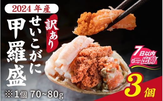 y󂠂zy2024NY@ʌzv`v`H̊OqƔZȓq  b  70`80g×3iTCYj7ȓ [A-007023] / 킢 b  I ւ I Kj Ⓚ