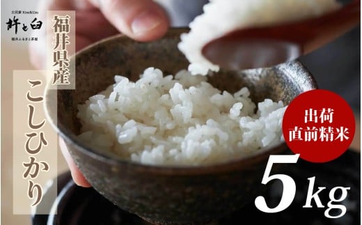 ߘa7NY 䌧Y Ђ 5kg [A-150003] / V    R RVqJ ߘaN 7N N Yn _ƒ䌧s19000āEp