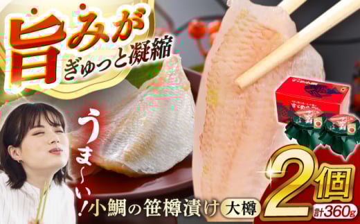 ̍Ђ M180g 2 v360g  yzsnFkCEEz  [BFAE006]䌧ls16000ECYN