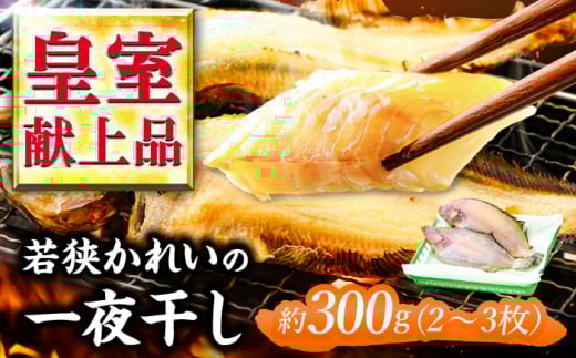 Y ዷꂢ̈銱 300g (2`3) iMVJC  yzsnFkCEEz  [BFAE022]䌧ls22000ECY