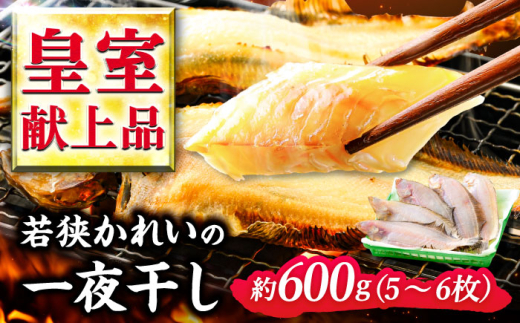 国産 若狭かれい 一夜干し 600g (5〜6枚) ヤナギムシカレイ | カレイ かれい 鰈 干物 一夜干し 焼き魚 魚介 冷凍 小分け お手軽 時短 時短料理 魚貝類 タイ 鯛 加工品 おかず 朝食 夕食 メイン 魚