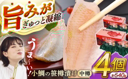 ̍Ђ M 135g 2 × 2Zbg v540g  yzsnFkCEEz  [BFAE004]䌧ls27000ECYN