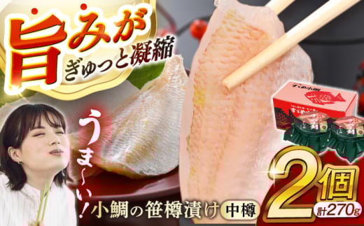 ̍Ђ M135g 2  yzsnFkCEEz  [BFAE003]䌧ls14000ECYN