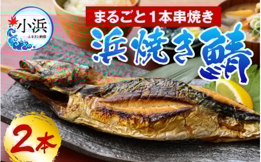 ዷl@̕lĂI2{  yzsnFz  [BFAO008]䌧ls12000ECY̑ ECY