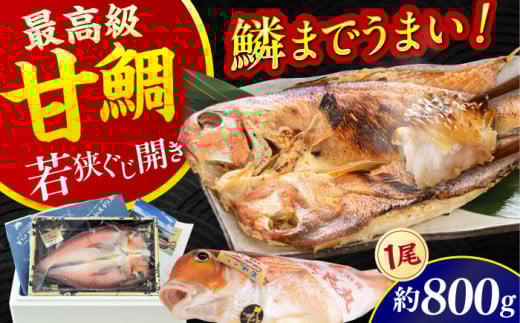 yNzዷ ꎬJ 1 800g  ls / N yzsnFkCEEz  [BFBC001]䌧ls34000ECYN