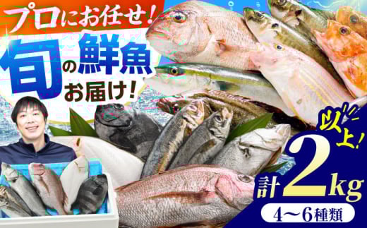 yNzuዷlpYnv{̓VRNCZbgI v2kgȏ    ls / N yzsnFkCAkkiHcAXAjABAAz  [BFBC007]