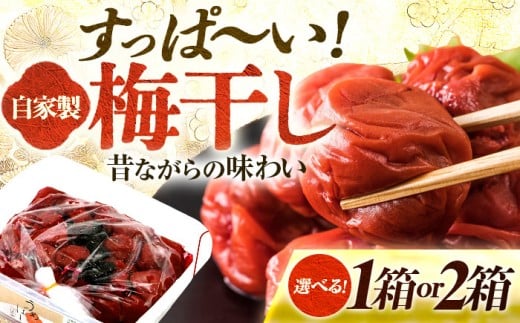 Ɛ ~ 900g × 1 / ߂ڂ ~  䌧 ls /  xHiX   [BFAN004]䌧ls9000ZbgE؁EHHiЕE~EL`