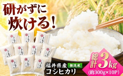 yߘa7NYz 䌧Y Ђ 300g 2 10pbN v 3kg ls / V}__ [BFAV003]䌧ls17000āEp