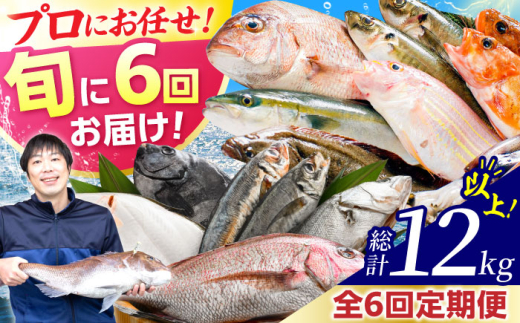 【定期便】 【全6回(隔月発送)】 【下処理済】 旬の天然鮮魚 2kg おまかせ セット 【加福鮮魚】「若狭小浜港産地直送」! 小浜市 / 加福鮮魚  【配送不可地域:北海道、北東北(秋田、青森