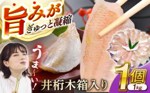 ̍Ђ 1kg 䌅ؔ1  yzsnFkCEEz  [BFAE010]䌧ls47000ECYN