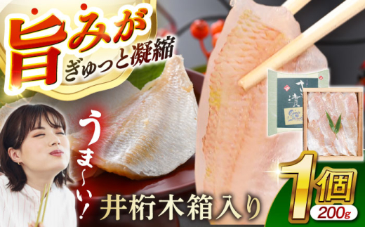 ̍Ђ 200g 䌅ؔ1  yzsnFkCEEz  [BFAE008]䌧ls11000ECYN