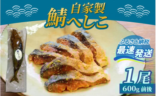 yƐz Iւ 1 ls / ؉ [BFCM001]䌧ls8000ECY̑ ECY