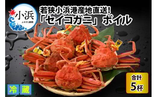 ys\/117菇z uዷl`YnvZCRKj (RbyKj) {C 5t /  RbyKj I ls / NyzsnFkCEEz [BFBC005]