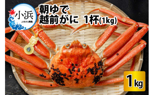 yNzzys\/117菇z zO1t@y1kgz / 킢 I YCKj ls / lCY yzsnFkCEEz  [BFAA003]䌧ls120