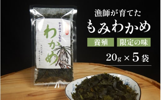 y{Bz y̖z tĂ ݂킩 5 ls / ނDEhǂ [BFBG002]䌧ls10000ECŶEC