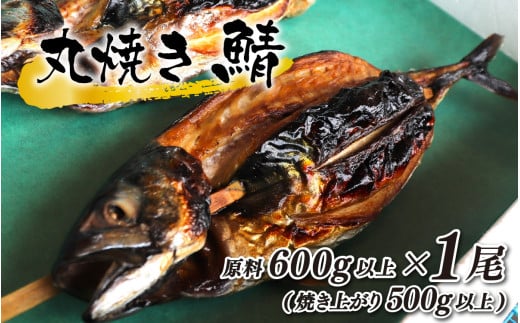 ۏĂI 600gȏ(Ăオ500gȏ)×1{yzsnFkCEEz ls / ^ [BFCJ004]䌧ls6000ECYL