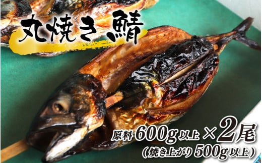 ۏĂI 600gȏ(Ăオ500gȏ)×2{yzsnFkCEEz ls / ^ [BFCJ005]䌧ls12000ECYL