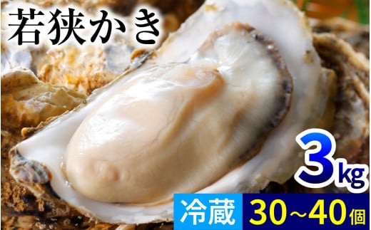 ys\/11{菇zyԌzዷluh ዷiMpj3Kg 30`40  yzsnFkCEEz  [BFAO011]䌧ls18000ECYL